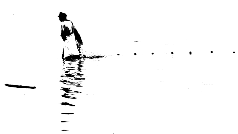 Simply black and white