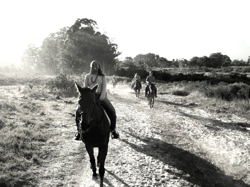 Ahead of the pack...