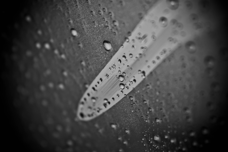 ...a long journey home.