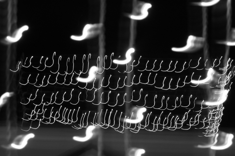 to you, (and all the mad intensity of the now)