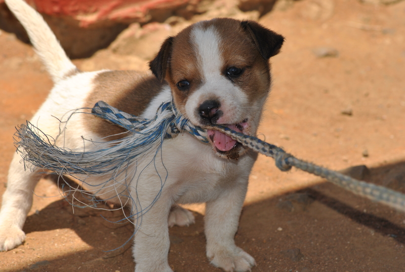 As I turn a hundred photos......takng a bite off my bondage