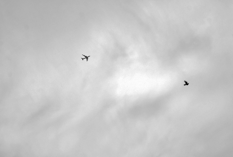 look up in the sky its a bird, its a plane