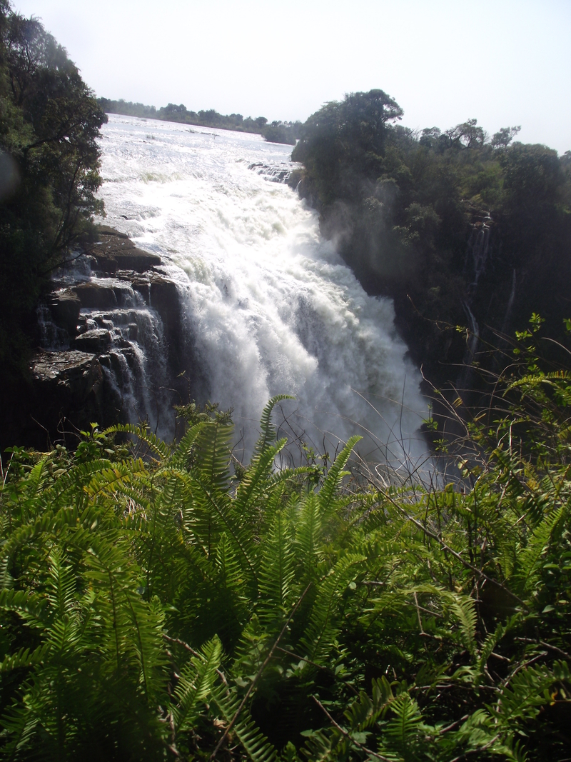 Majestic - Victoria Falls