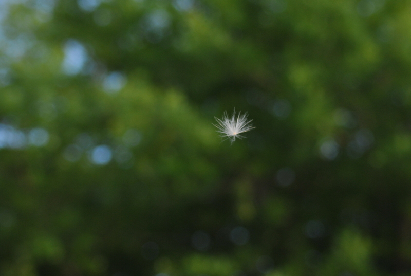 My first attempt........floating seamlessly.....!