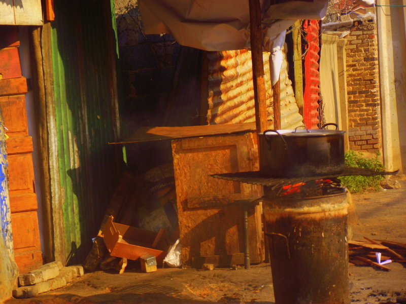 All the colours of a RAINBOW nation