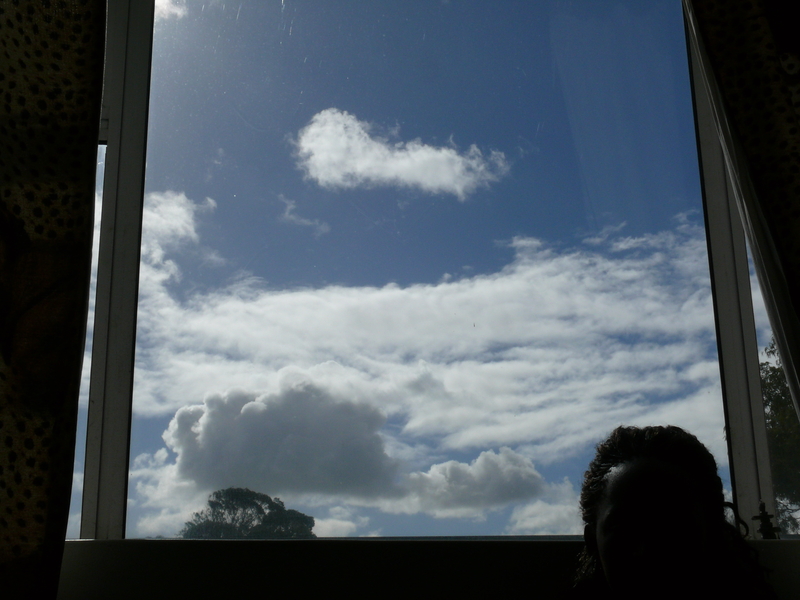 No Love Lost, No love Found