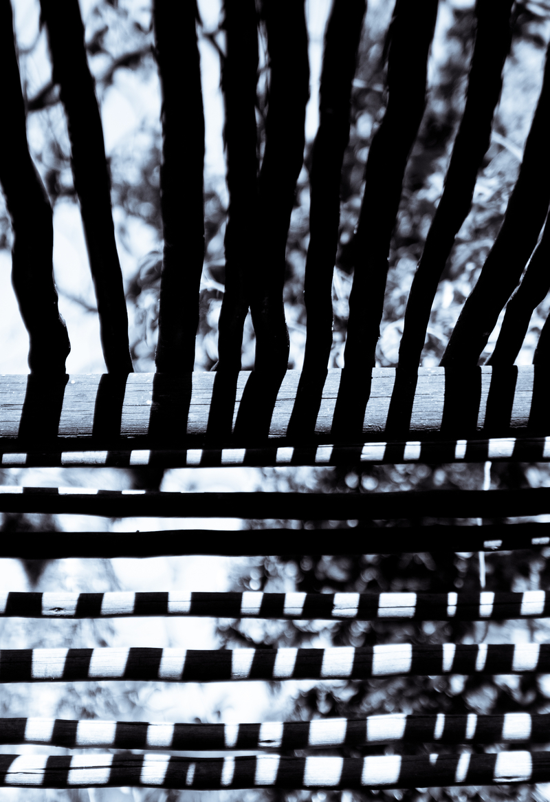 Line art in the garden