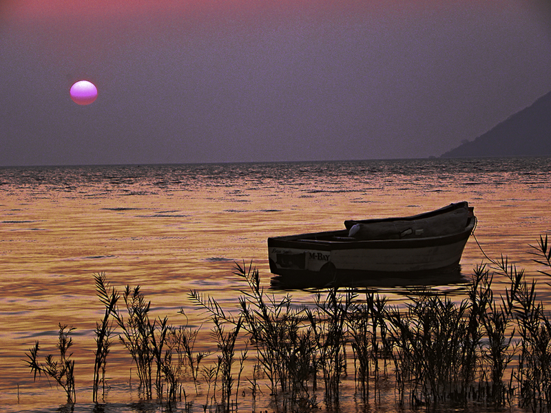 The roses of a sunrise.