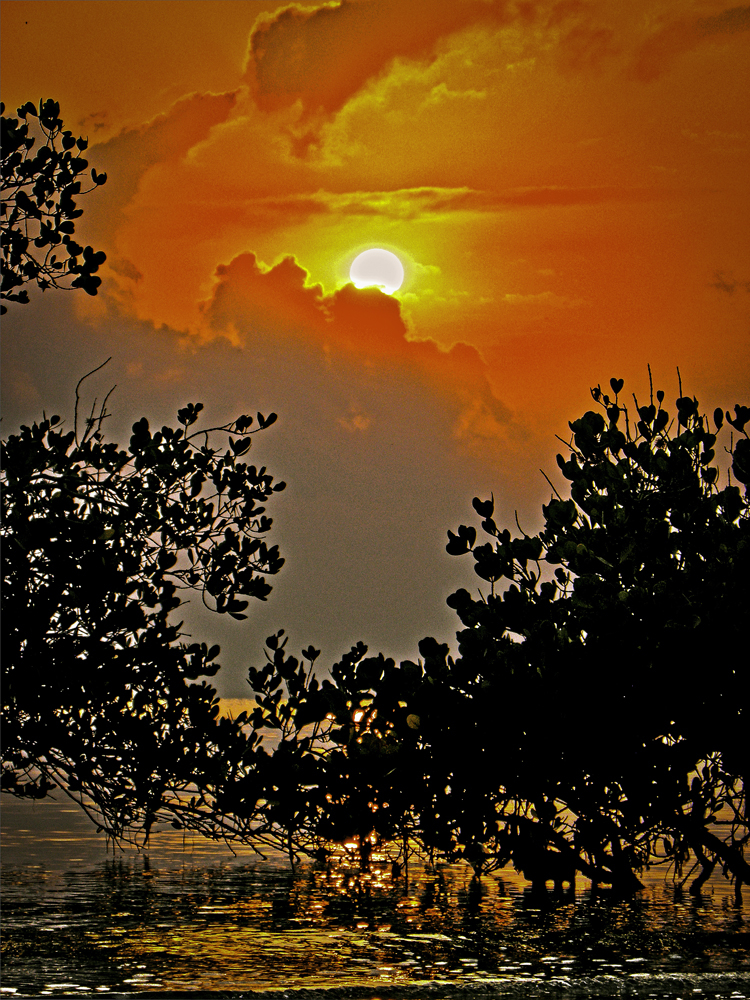 Traveling in  colors