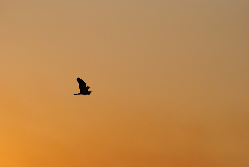 Leaving it all behind......!