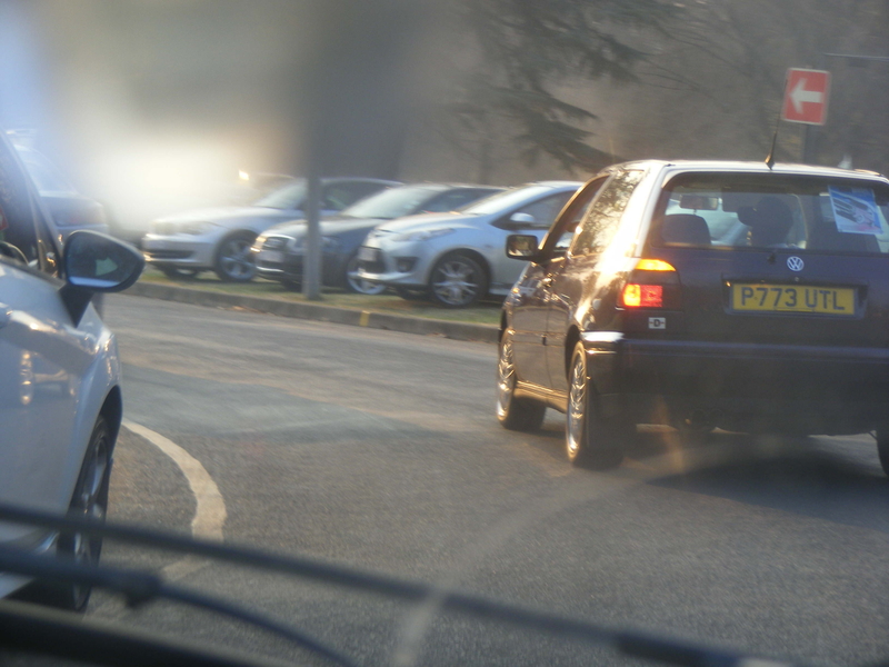 Cyrus The Infinite Virus