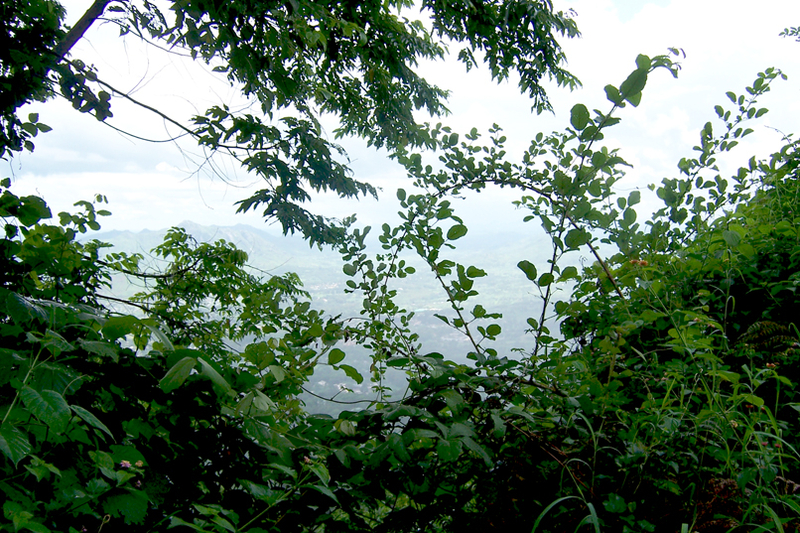 TravellingMan - RoadTrip Mangochi [1]