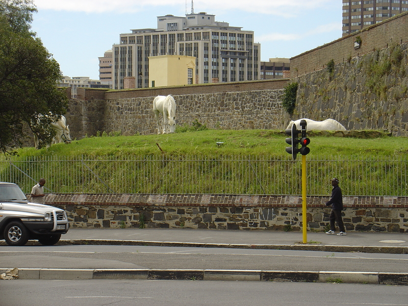 loook around u sometime