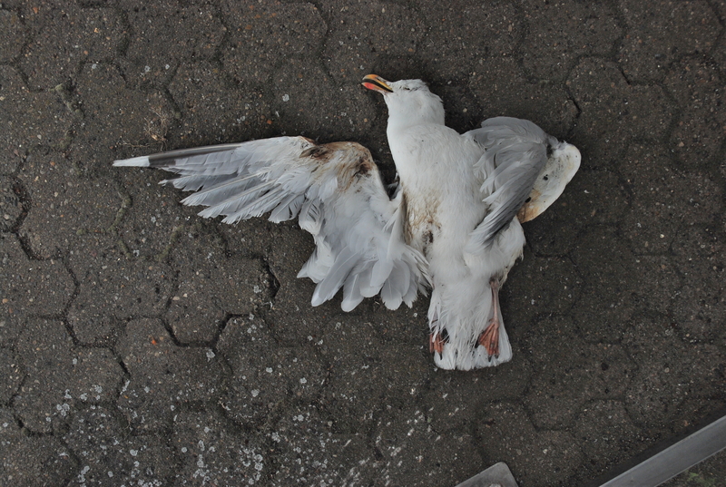 summer that way  ---