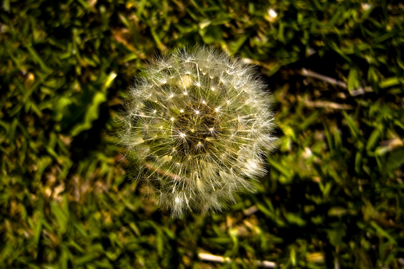 We are the same planet