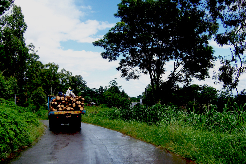TravellingMan - RoadTrip Mangochi [4]