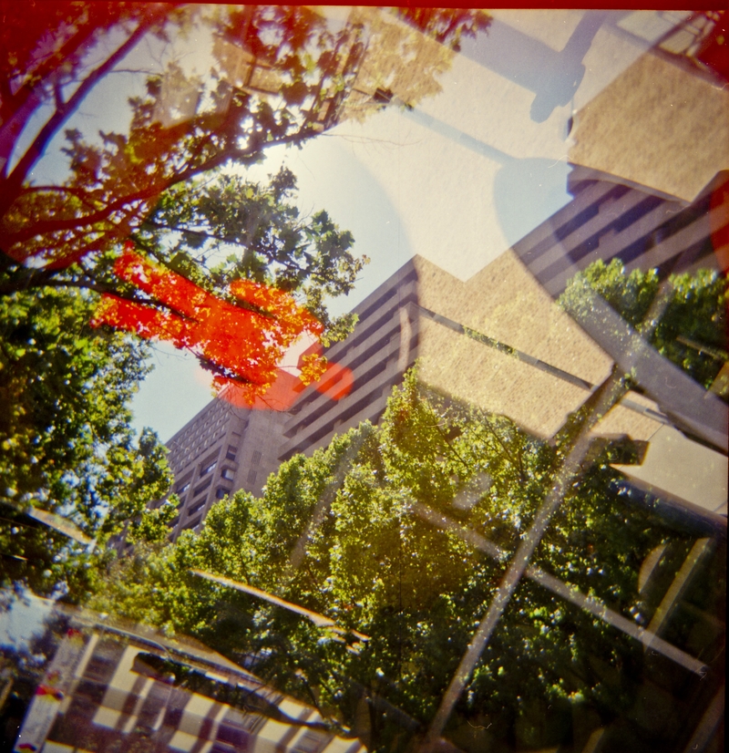 Lomography
