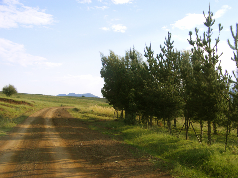 TravellingMan | Malelealea Roadtrip [1]