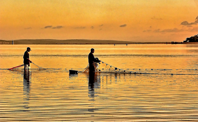 Fishing with the nets