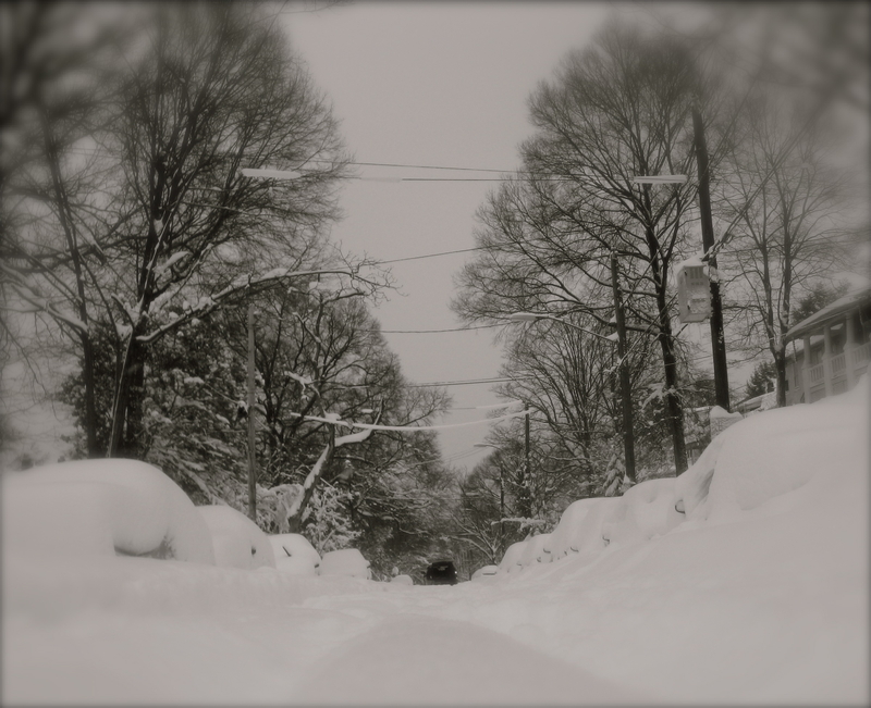 It's best to step back, and observe with couth*