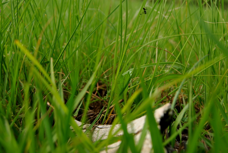 Meatless bone yields not sustanance.....!