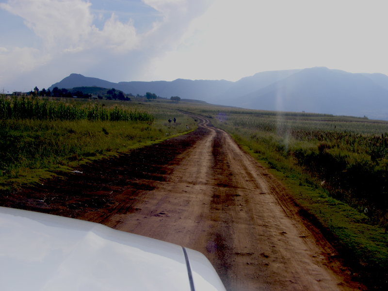 TravellingMan | Malelealea Roadtrip [3]