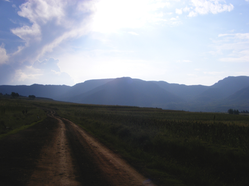 TravellingMan | Malelealea Roadtrip [4]