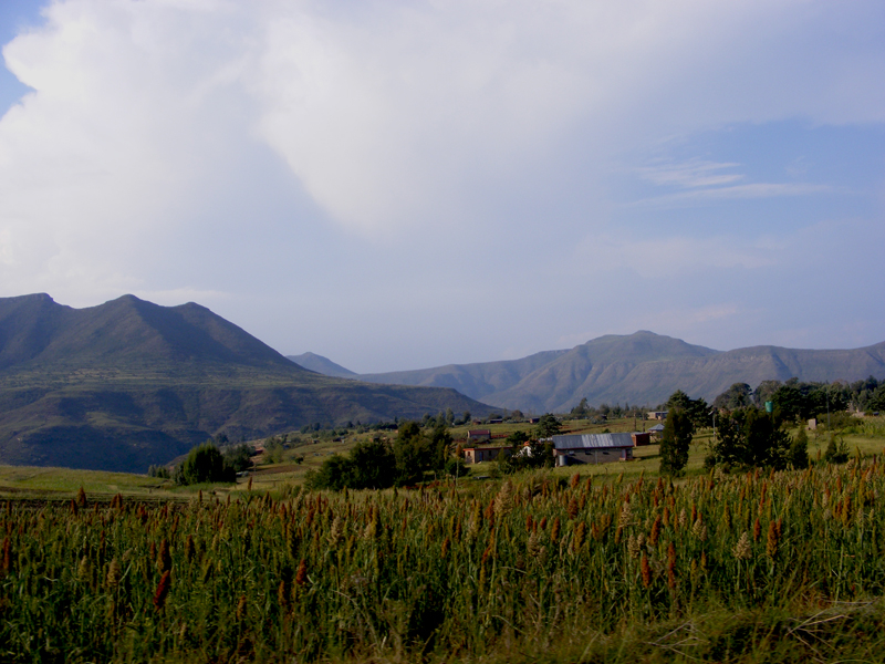 TravellingMan | Malelealea Roadtrip [5]