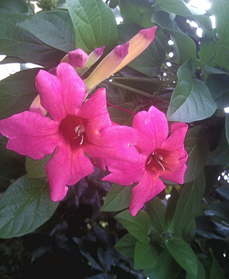 Waiting for a pick up...