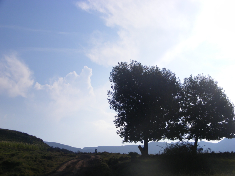 TravellingMan | Malelealea Roadtrip [9]