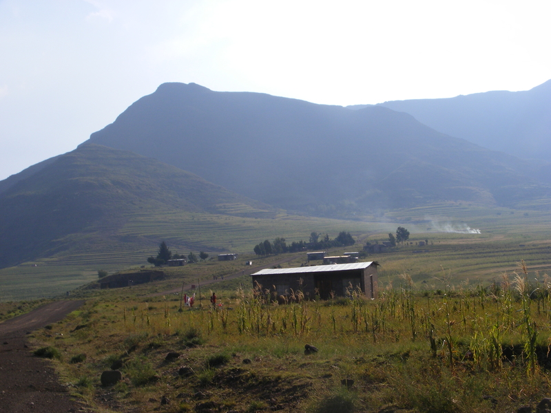 TravellingMan | Malelealea Roadtrip [11]