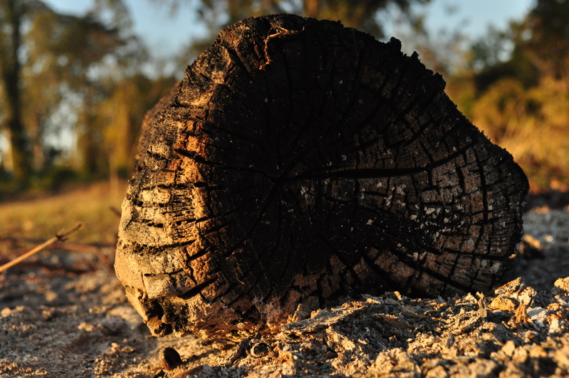 All that remains.......