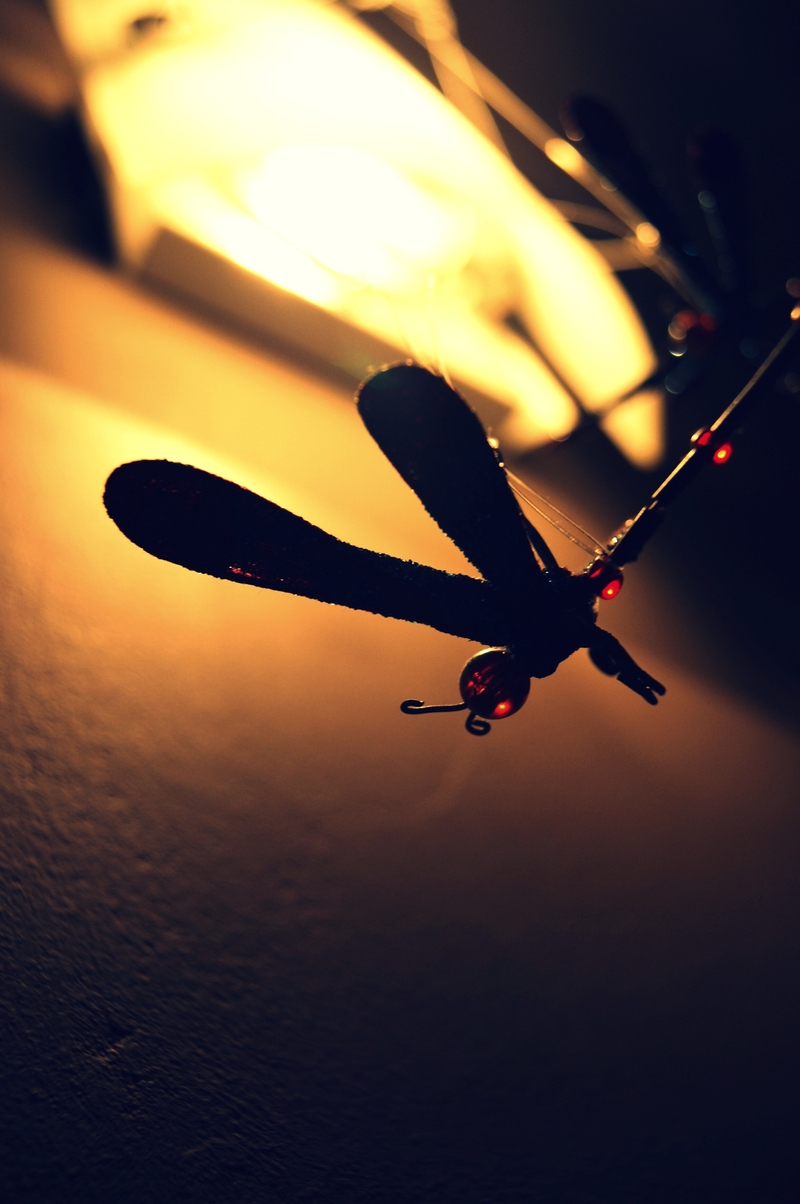 Its the little things in life that matter