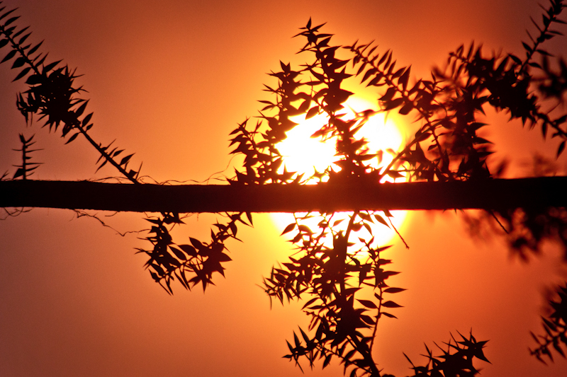 good morning / good night