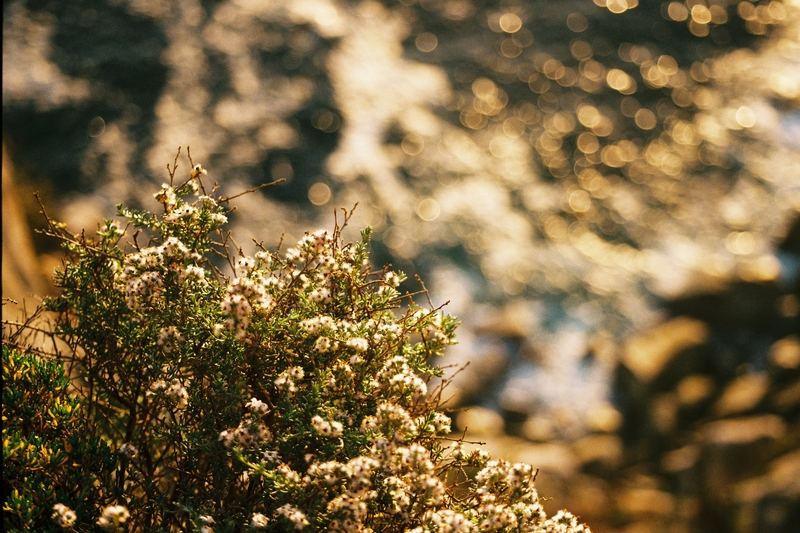 It's going to be alright.