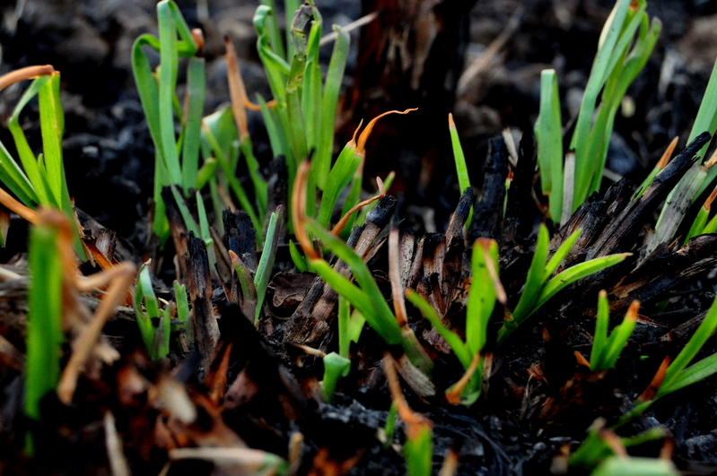 We are a great people......failing to realise that!