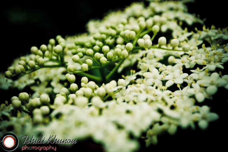 My Piece of Peace at home in Zimbabwe