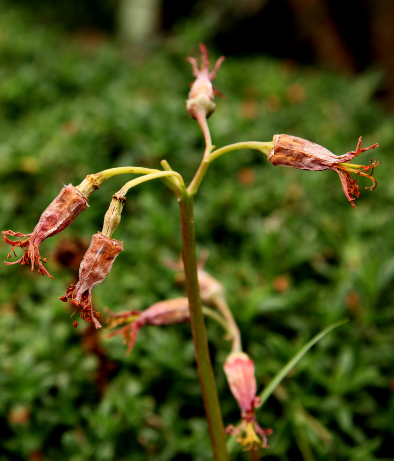 My never ending circle.........