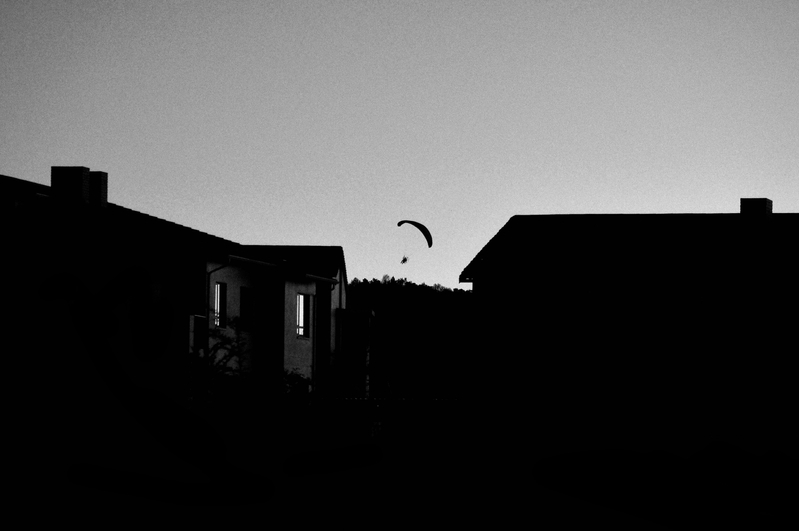 White people have all the fun