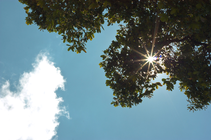 …all i need is you