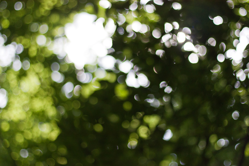 …all bokeh everything