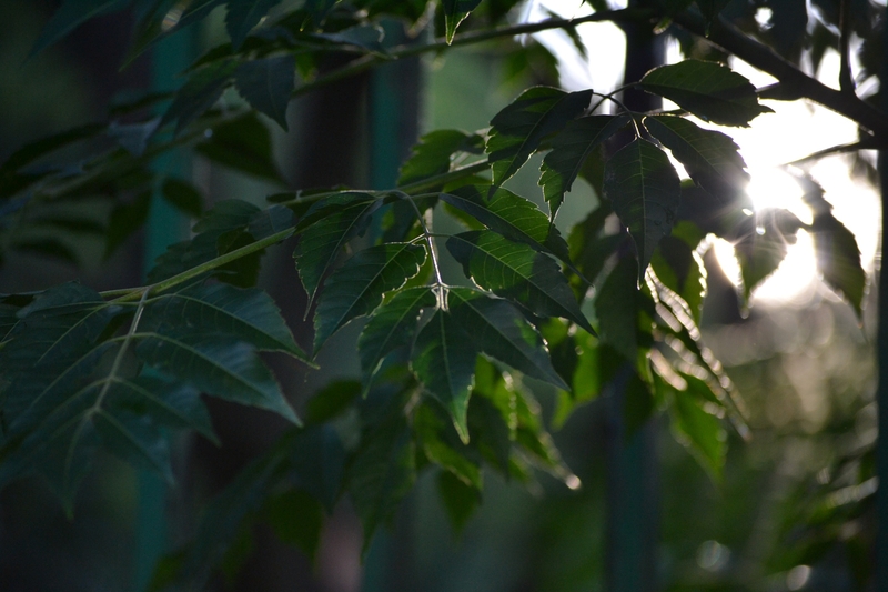 Let some sunshine through