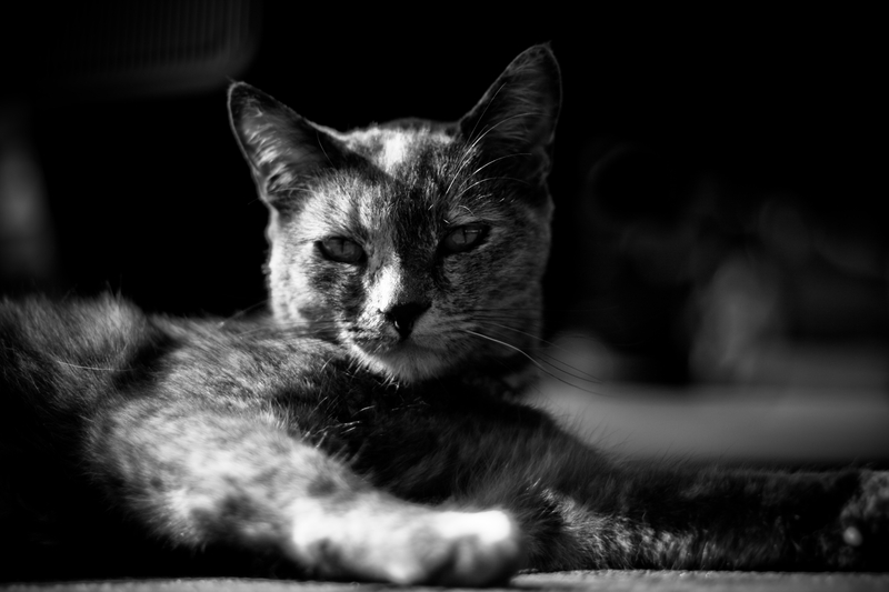 Bow before me slave...