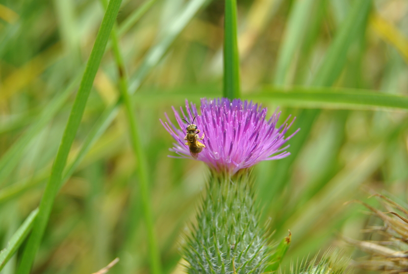 When happiness returs....all things come and go,so does the seasons and time to blossom