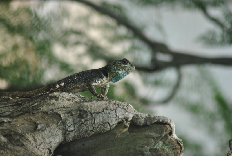 All that we ever try to do.........blend in...fit with the norms,the cliques and the hip&happening....