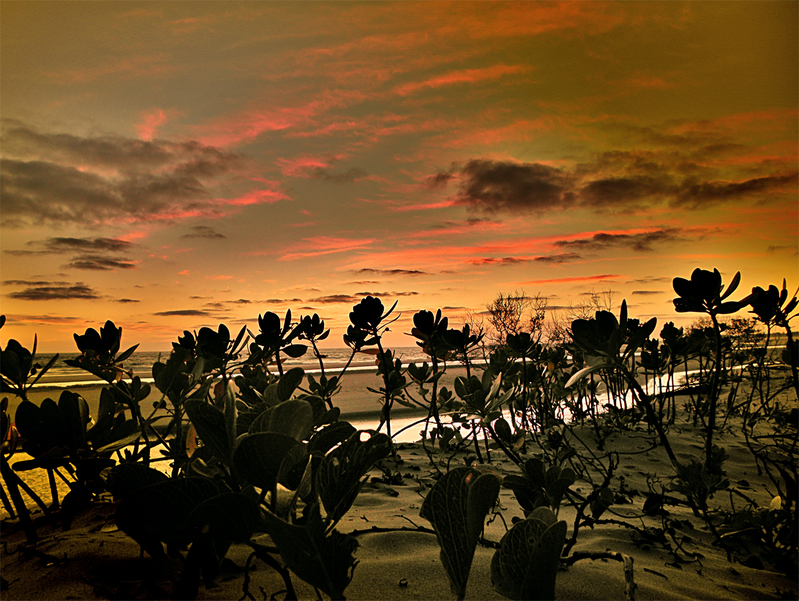 Pomene beach - Inhambane