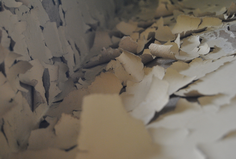 Stripped off my beauty.......