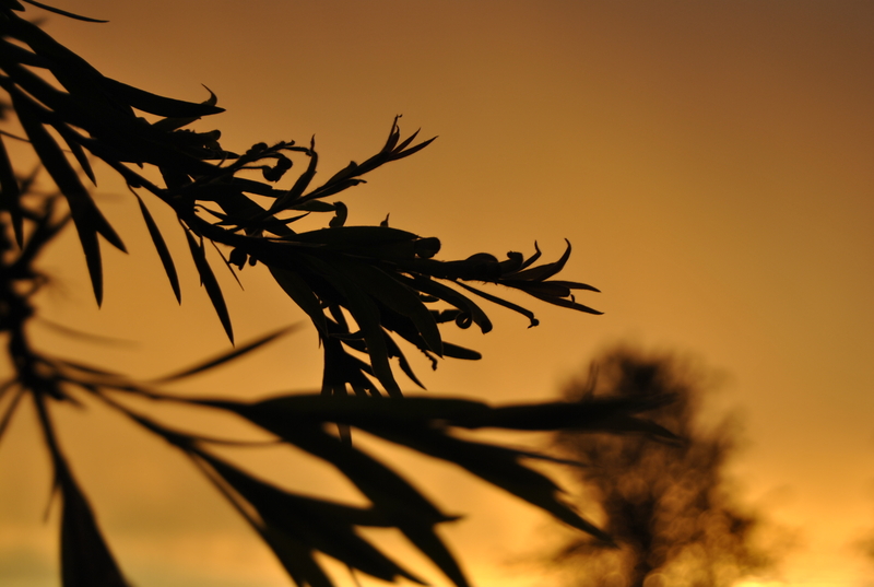 shapeless.....behind the scenes...!