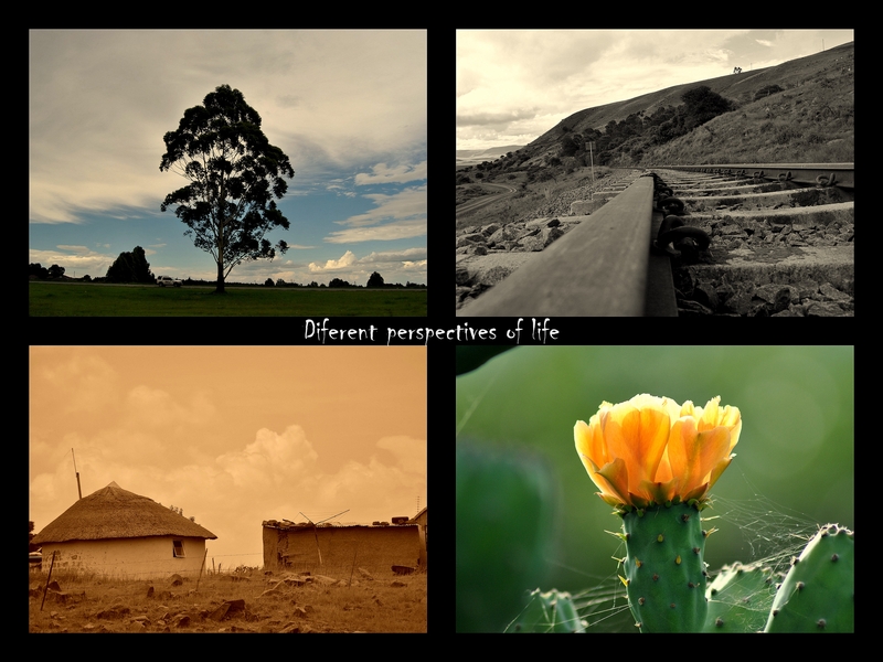 Walks of life.......