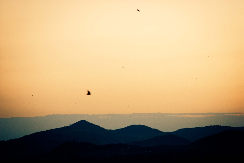 'maybe she'll dream of me'